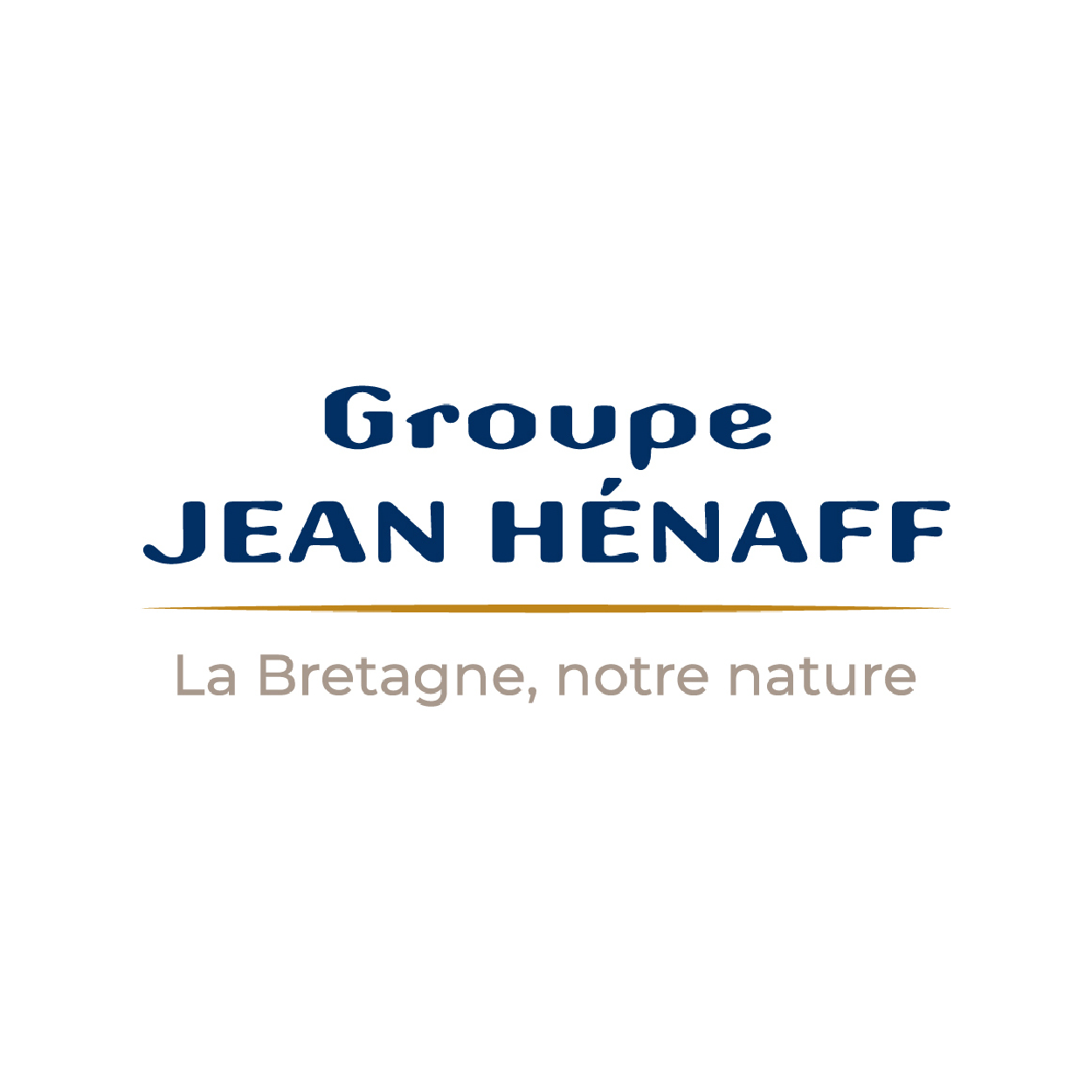 logo groupe jean henaff